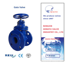 3 Inch PN25 Ductile Iron Swing Check Valve